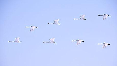 解谜游戏《巴别塔圣歌》开启预购 国区原价80元